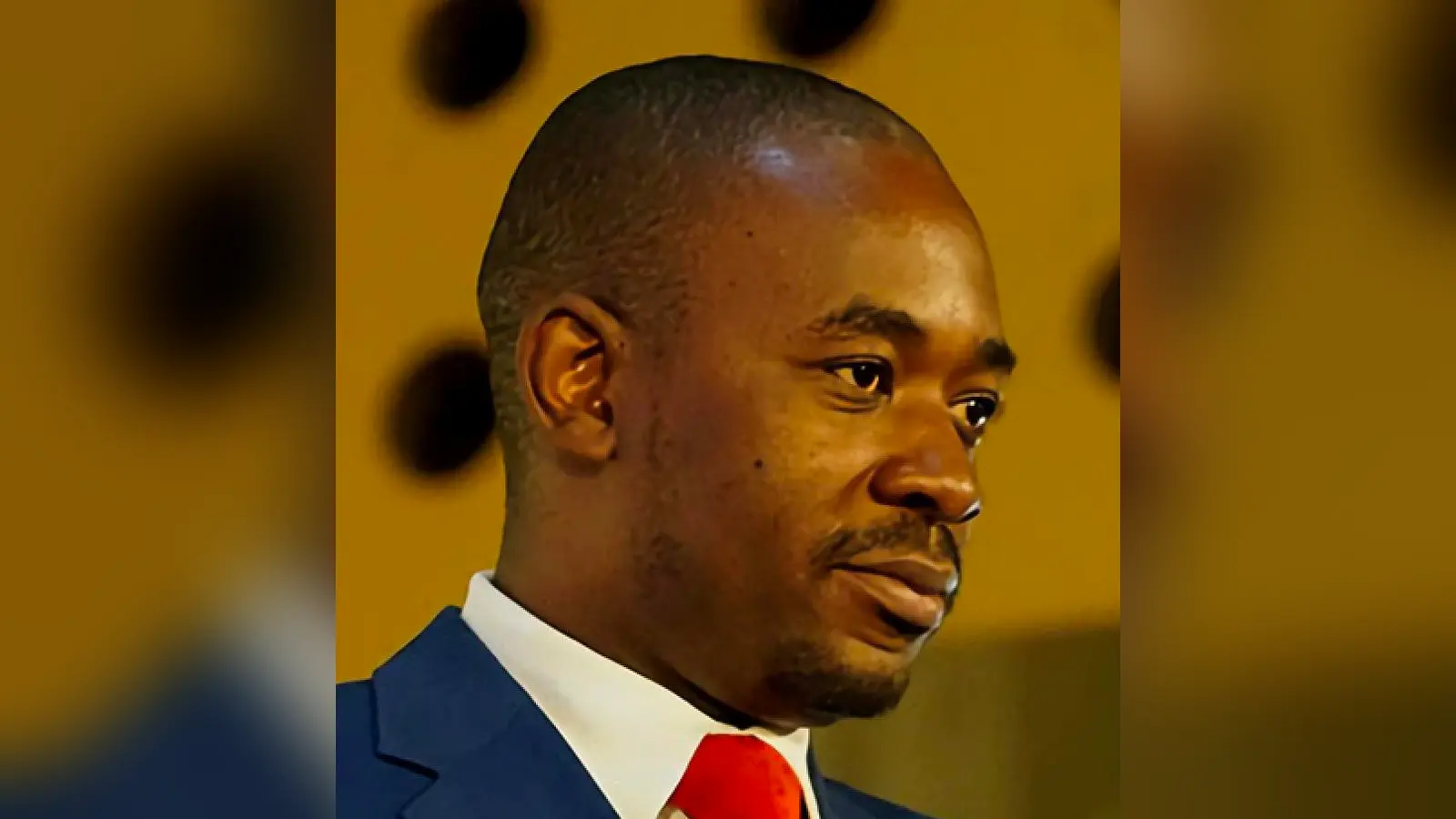 Nelson Chamisa — illustration