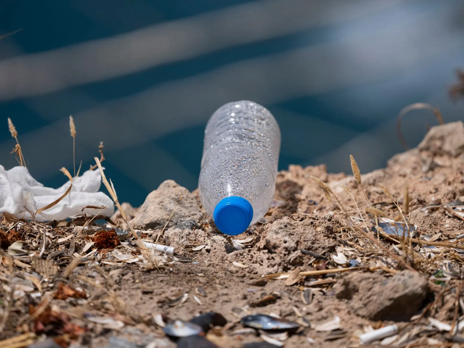 Bouteille plastique abandonnée sur un rivage naturel — photo d’illustration (banque d’images)