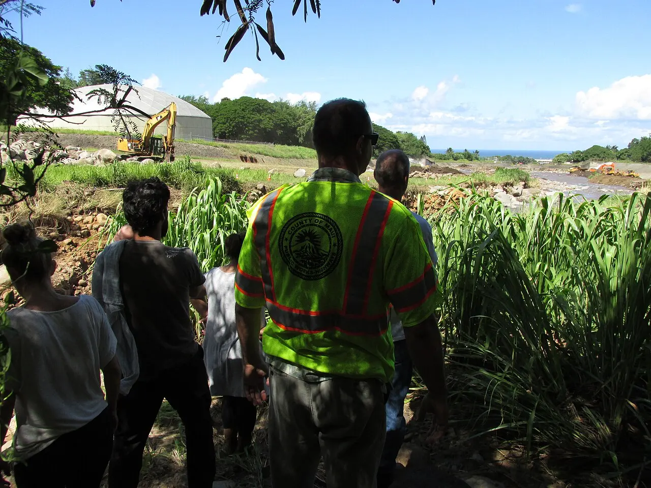 Starr-160919-5240-Megathyrsus maximus-after flooding debris removal-Iao Stream-Maui (31127021361) — photo d’illustration (inondations)