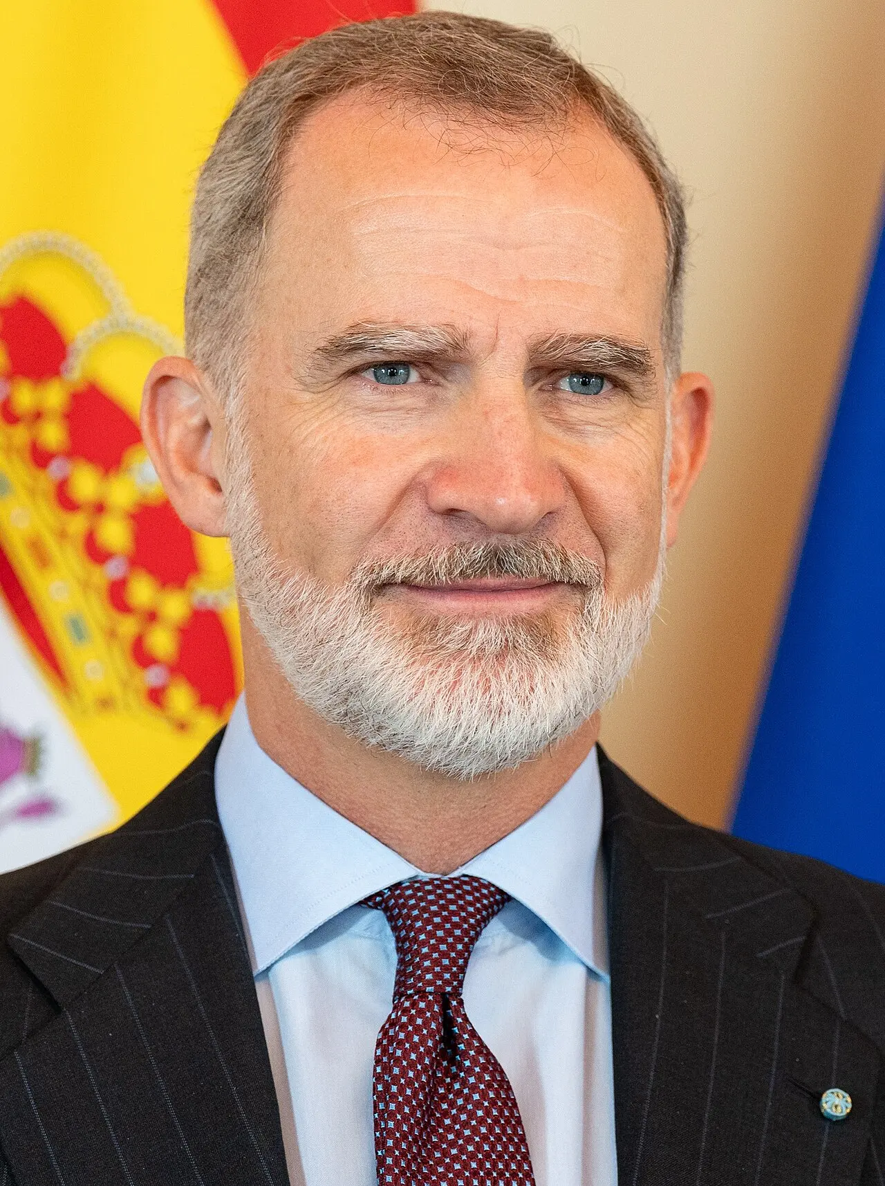 Felipe VI — illustration