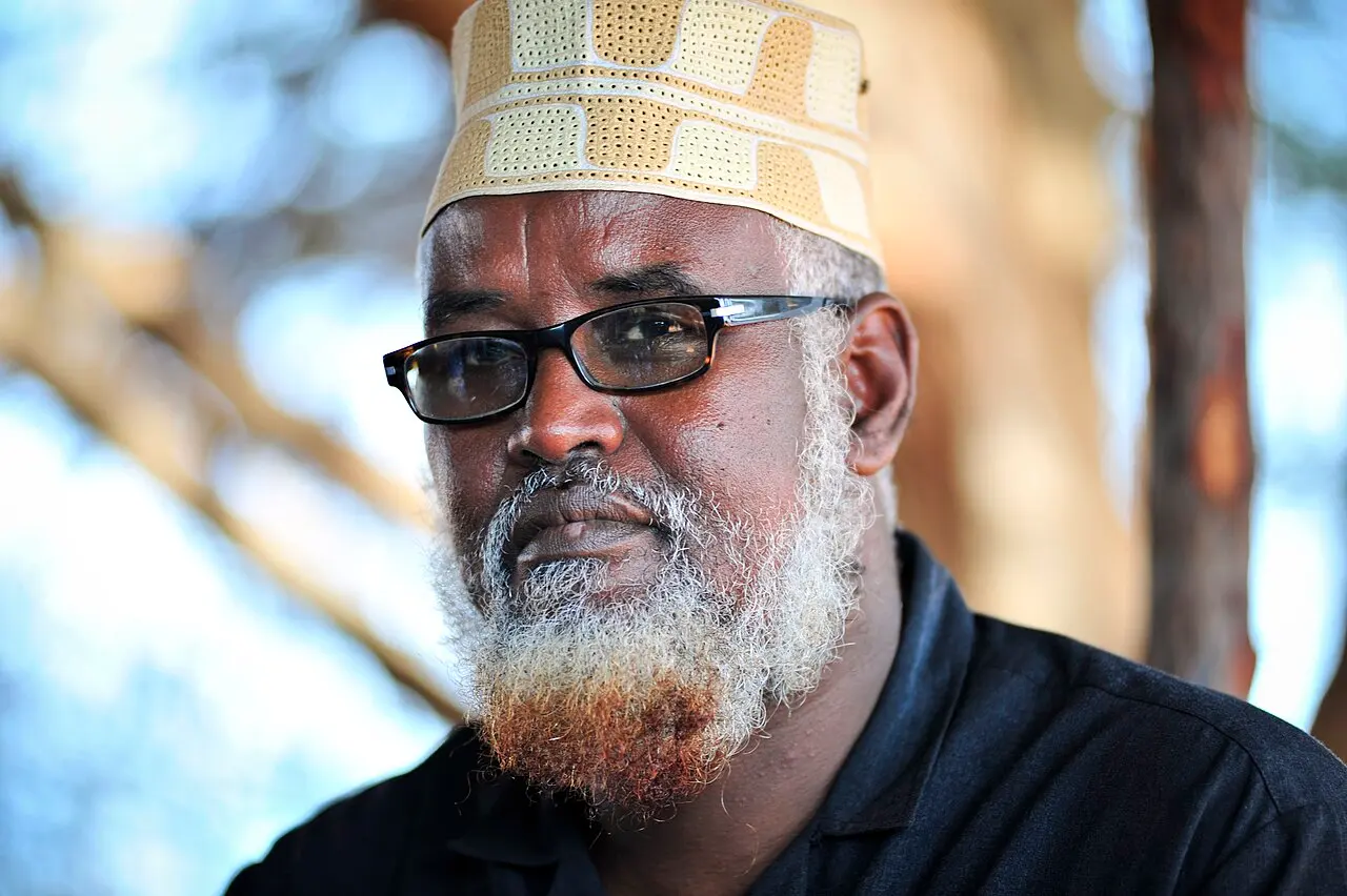 Ahmed Mohamed Islam — illustration