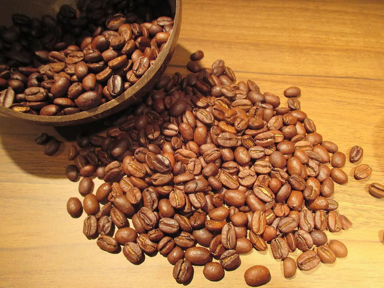 Café — illustration thématique