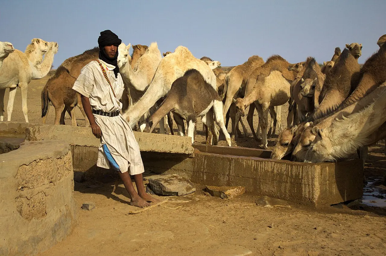 The Farmer And His Herd (14980003960) — photo d’illustration (agriculture)