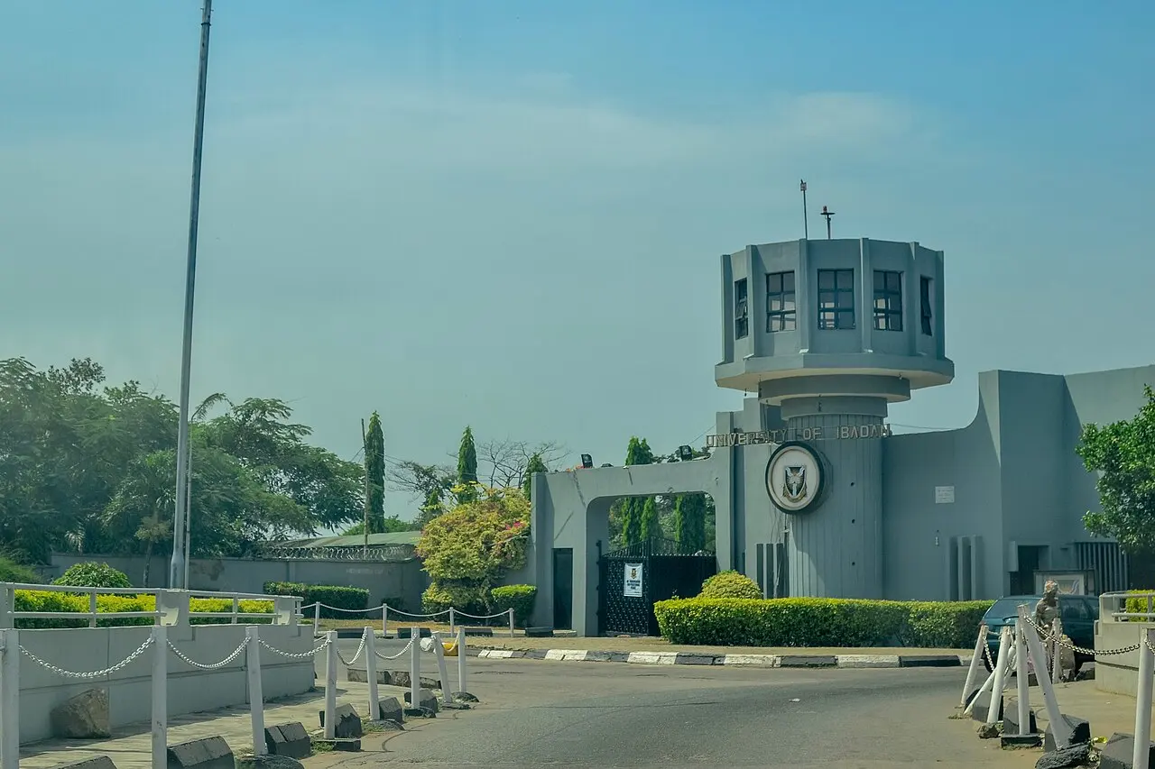 Université d'Ibadan — illustration