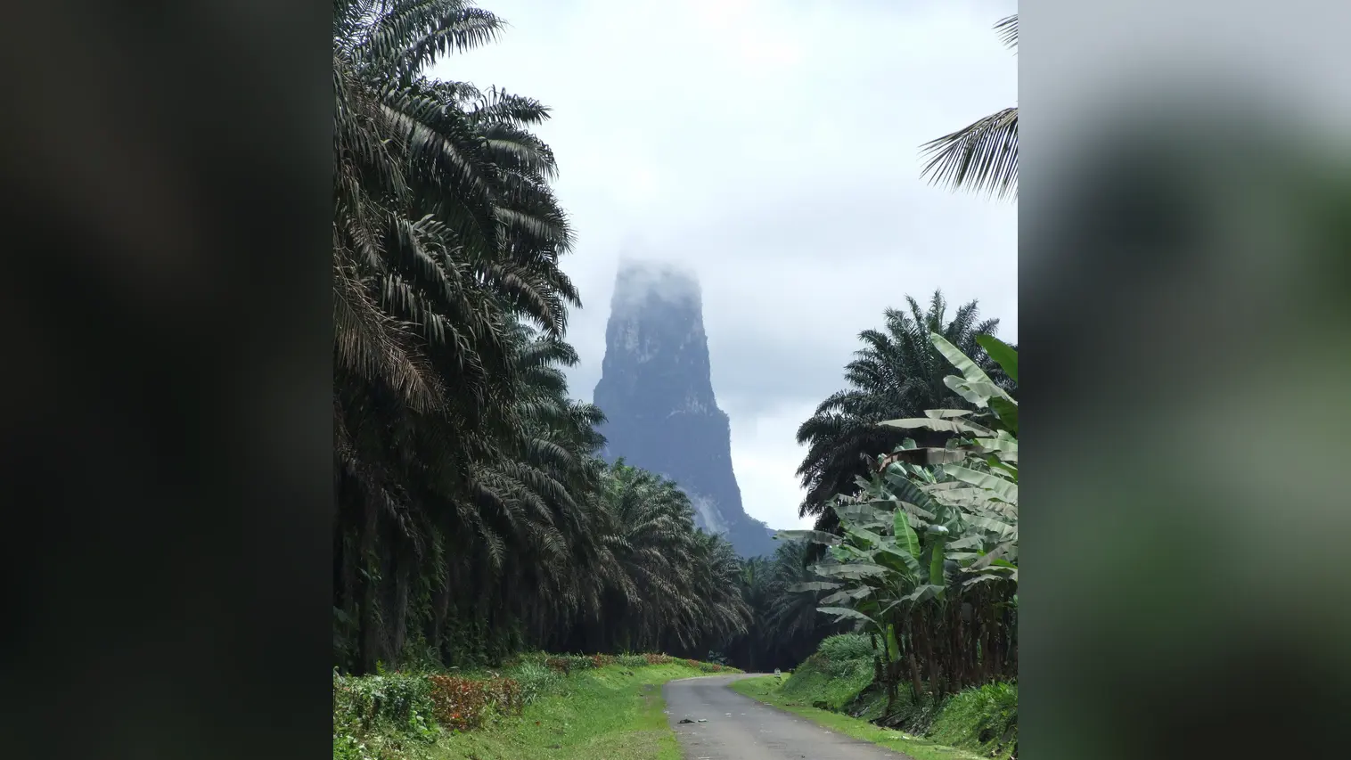 Parc naturel Obô de São Tomé — illustration