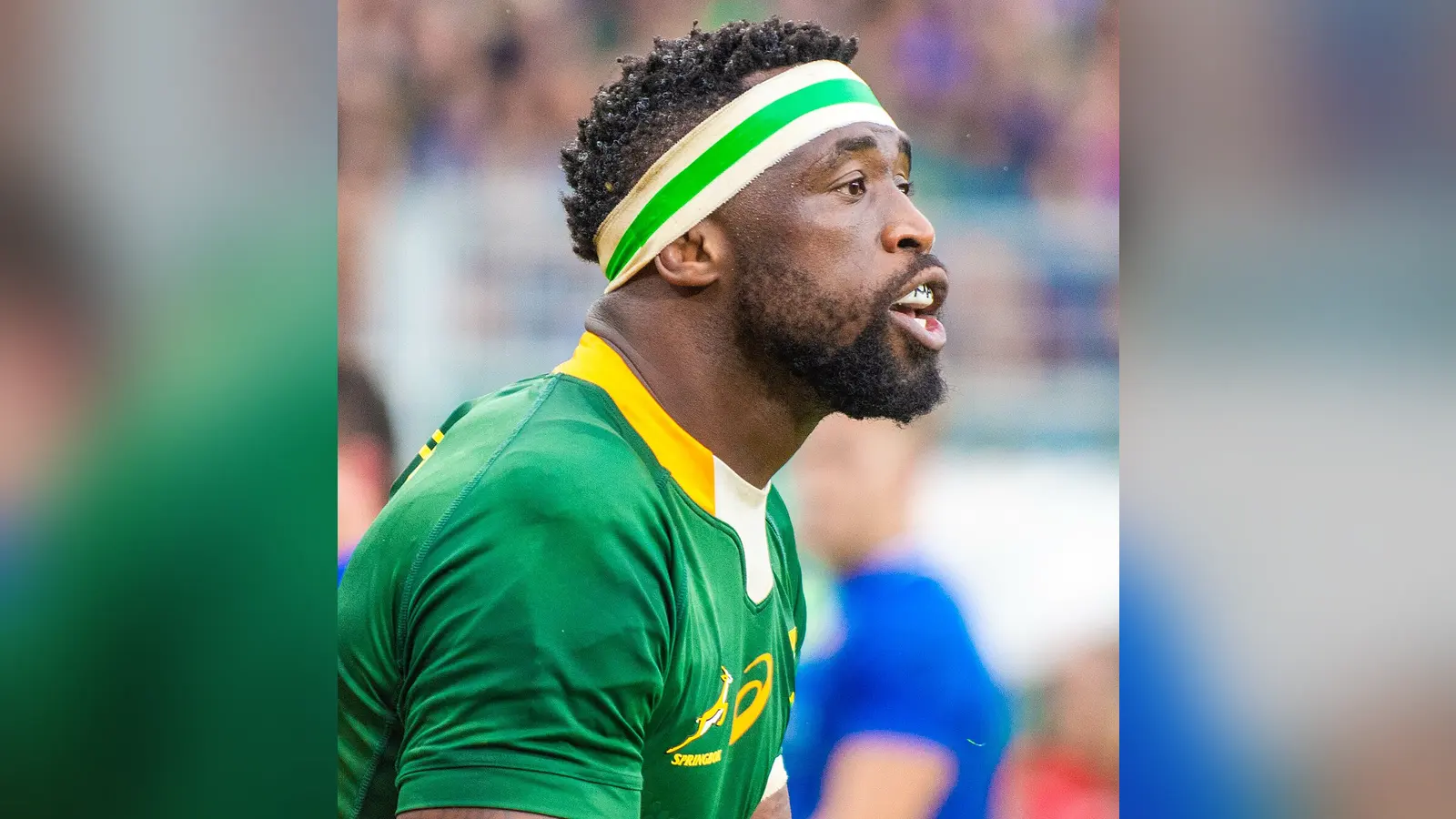 Siya Kolisi — illustration