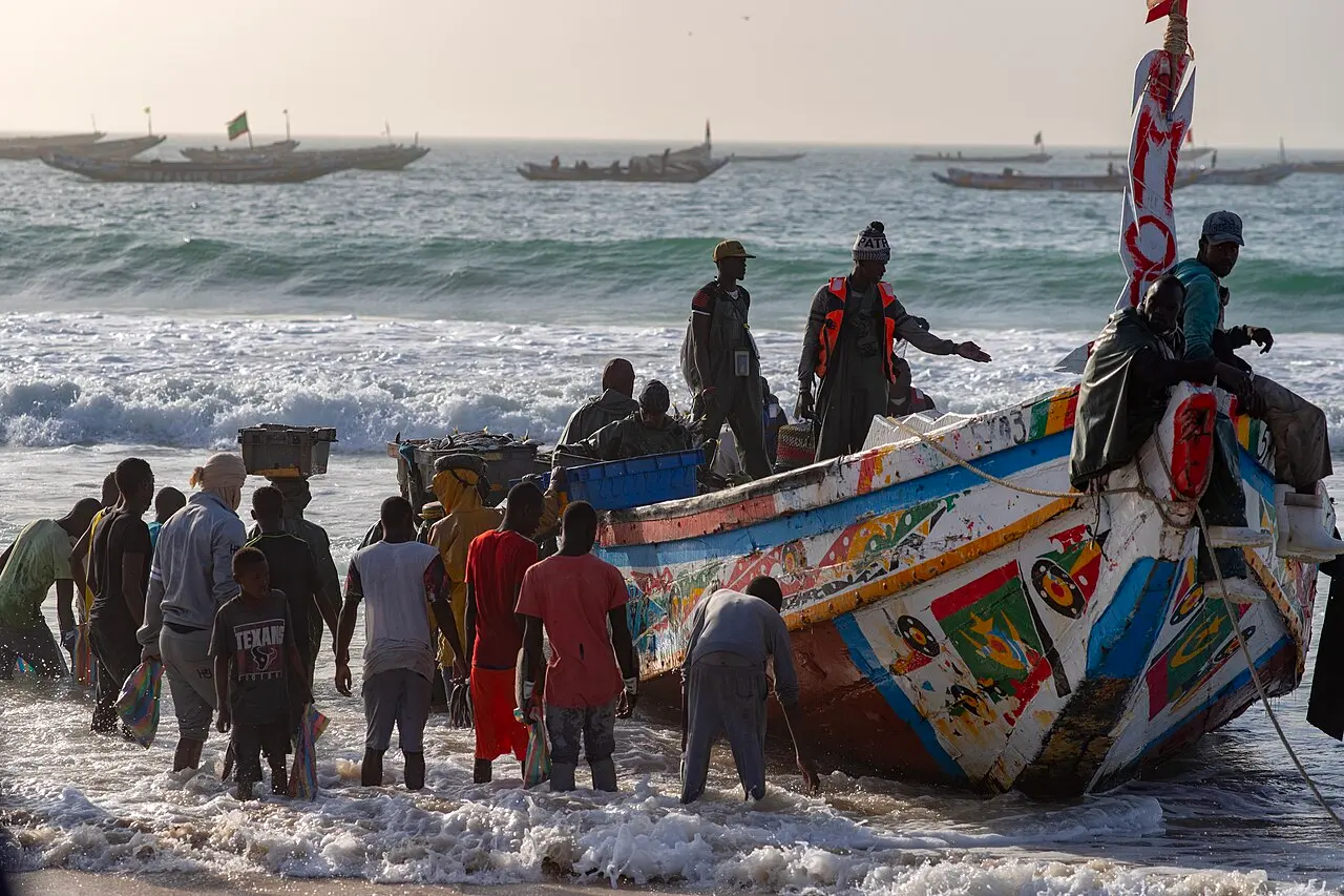 Fishermen boat carrying sardines on Nouakchott beach (31809787767) — photo d’illustration (pêche)