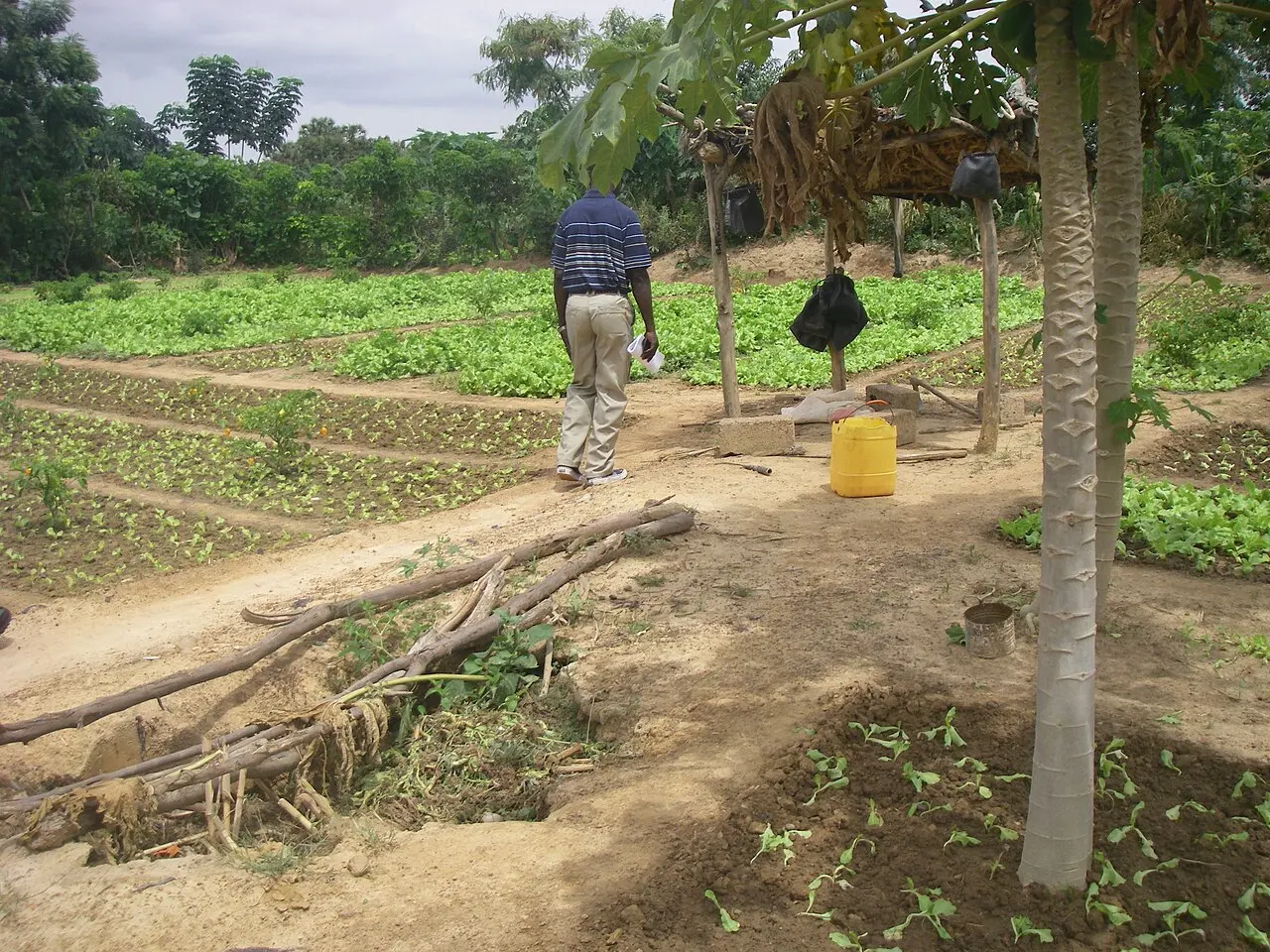 Reuse of nutrients in agriculture (Burkina Faso) (2963783319) — photo d’illustration (agriculture)