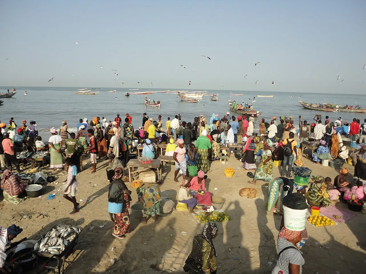 Traders at the fish market in Gambia...2 — photo d’illustration (marchés et commerce)