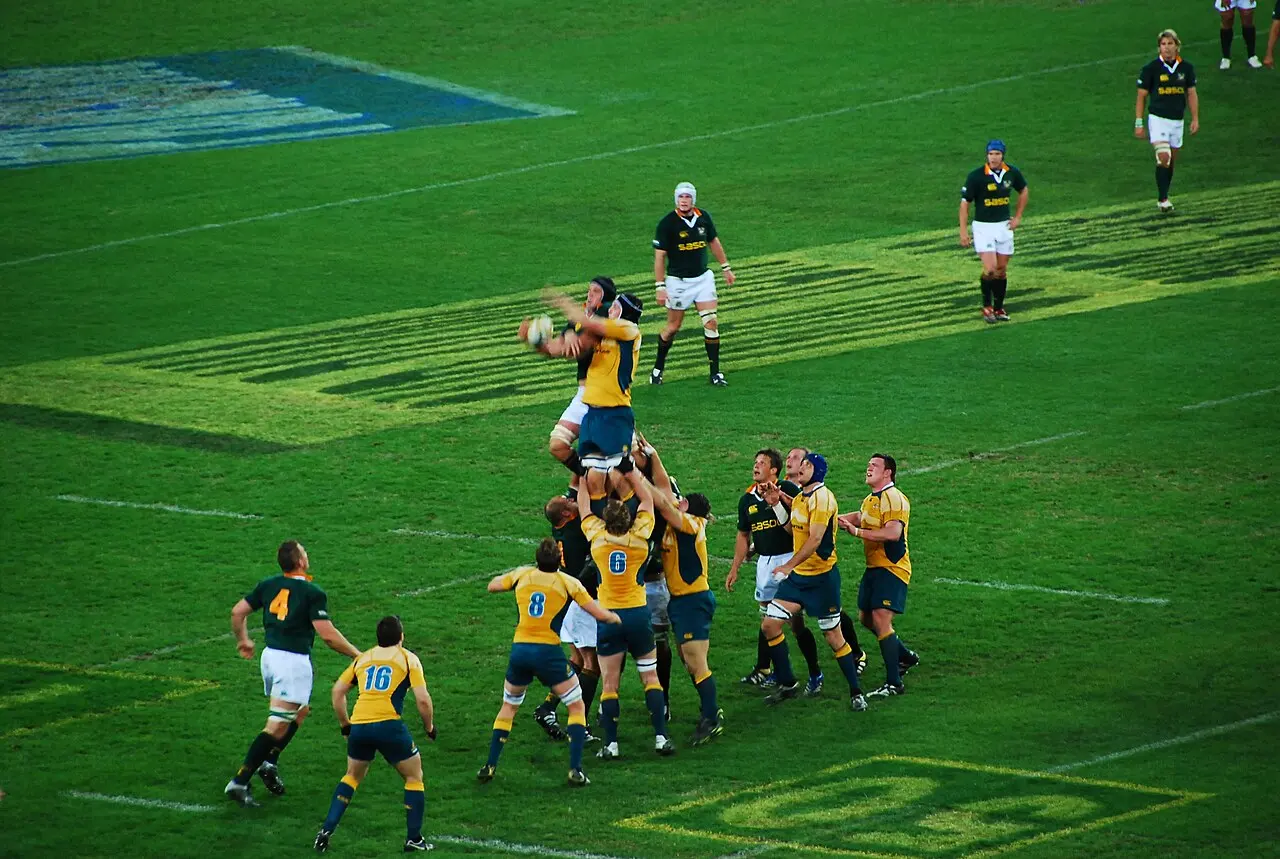 Afrique du Sud-Australie en rugby à XV — illustration
