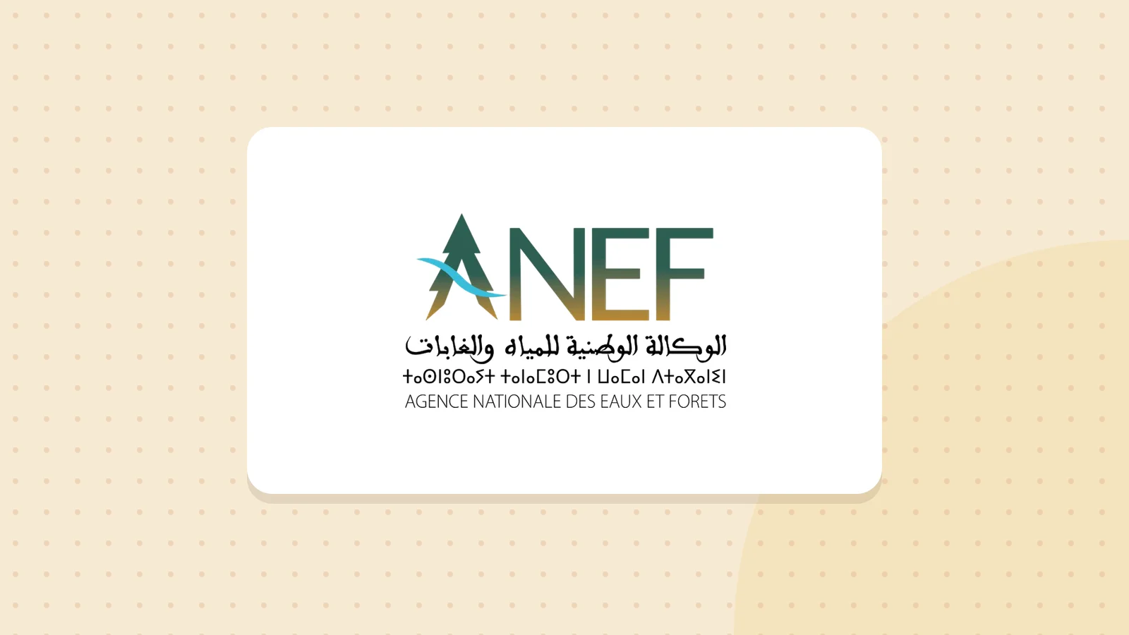 Logo de Agence nationale des eaux et forêts