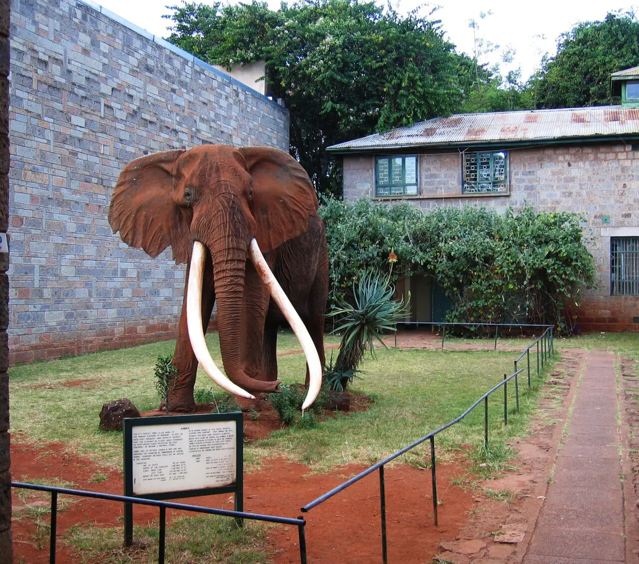 Culture du Kenya — illustration