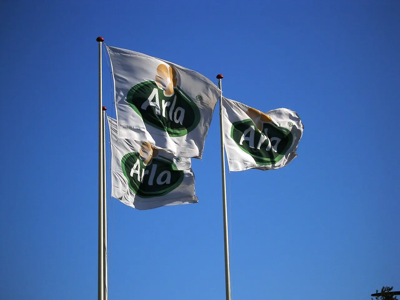 Arla Foods — illustration