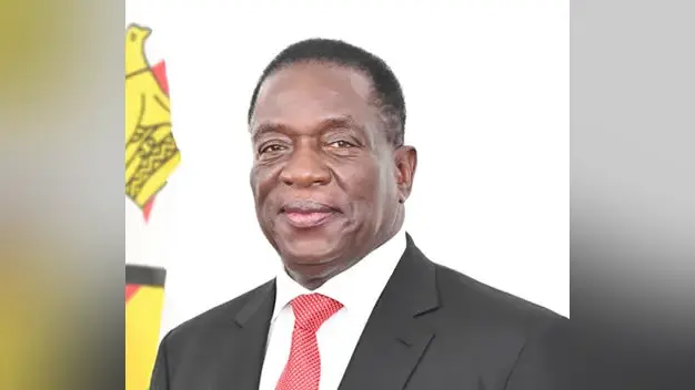 Emmerson Mnangagwa — illustration