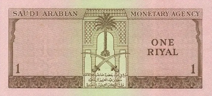Riyal saoudien — illustration