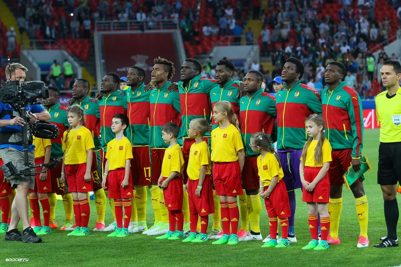 Équipe du Cameroun de football — illustration