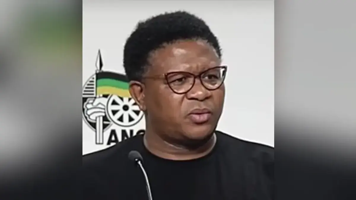 Fikile Mbalula — illustration