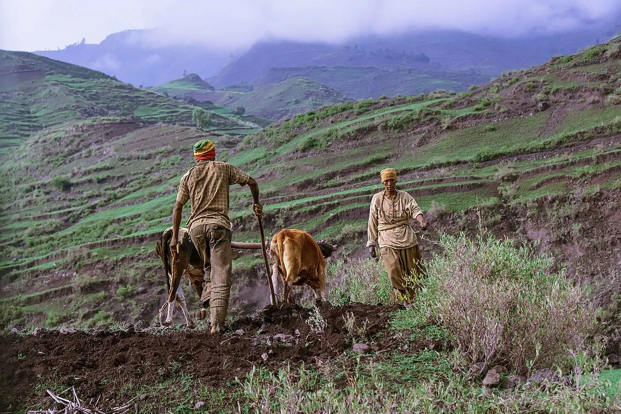 Ethiopia bets on agriculture for food sovereignty