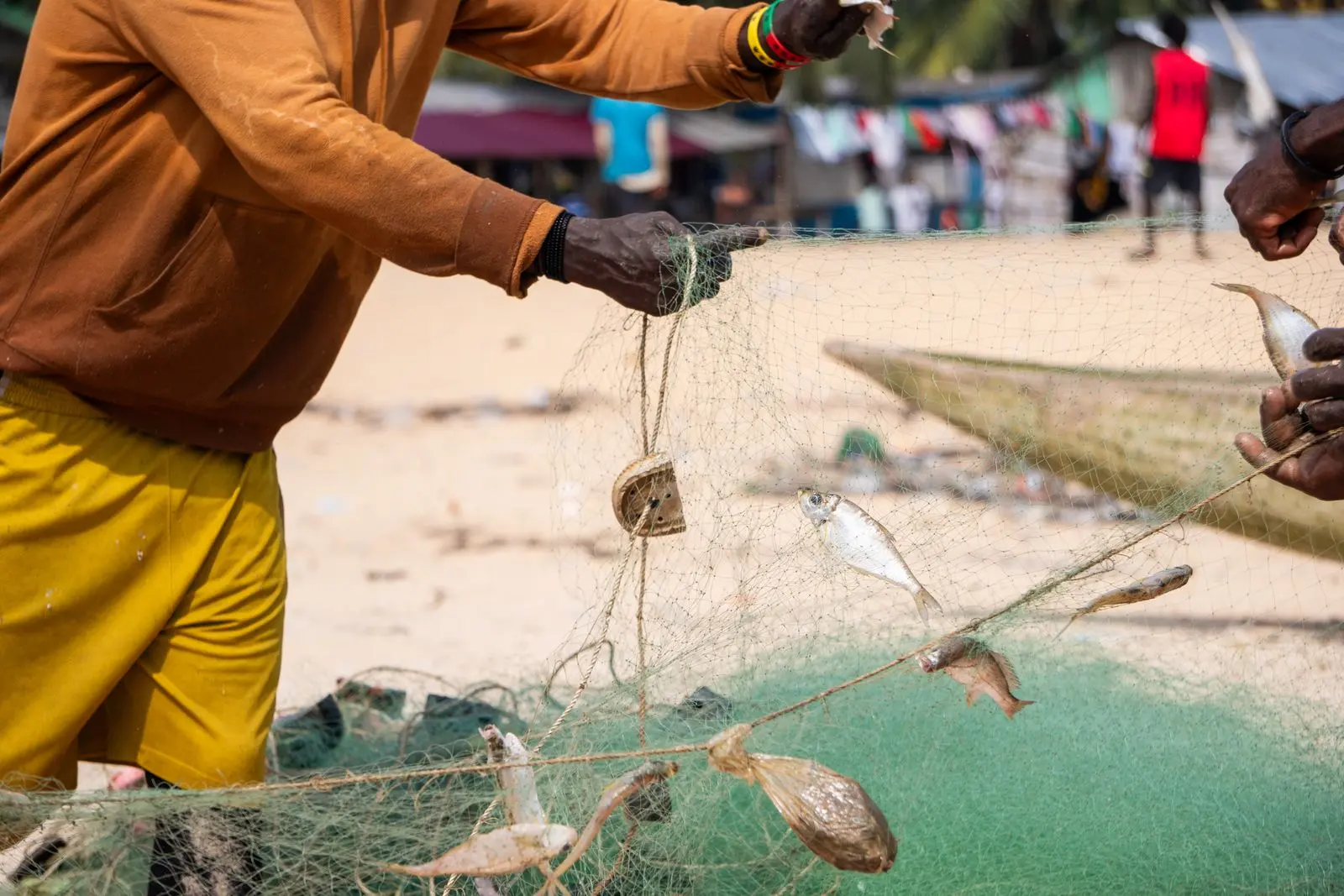 São Tomé and Príncipe promotes longline fishing
