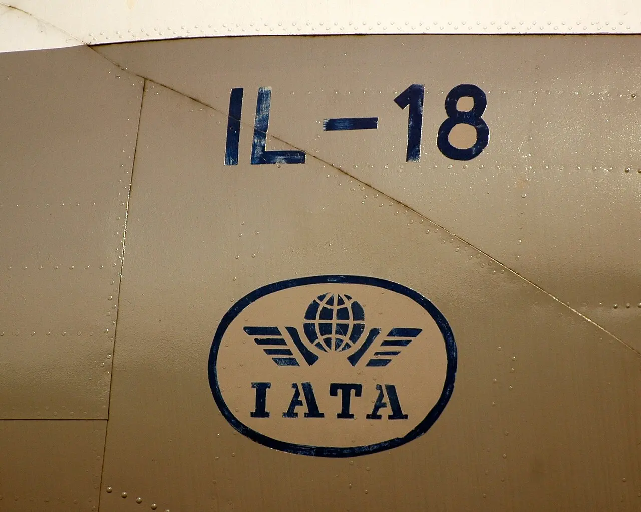 Association du transport aérien international — illustration