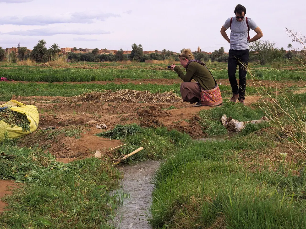 Students documenting Todgha oasis — photo d’illustration (université)