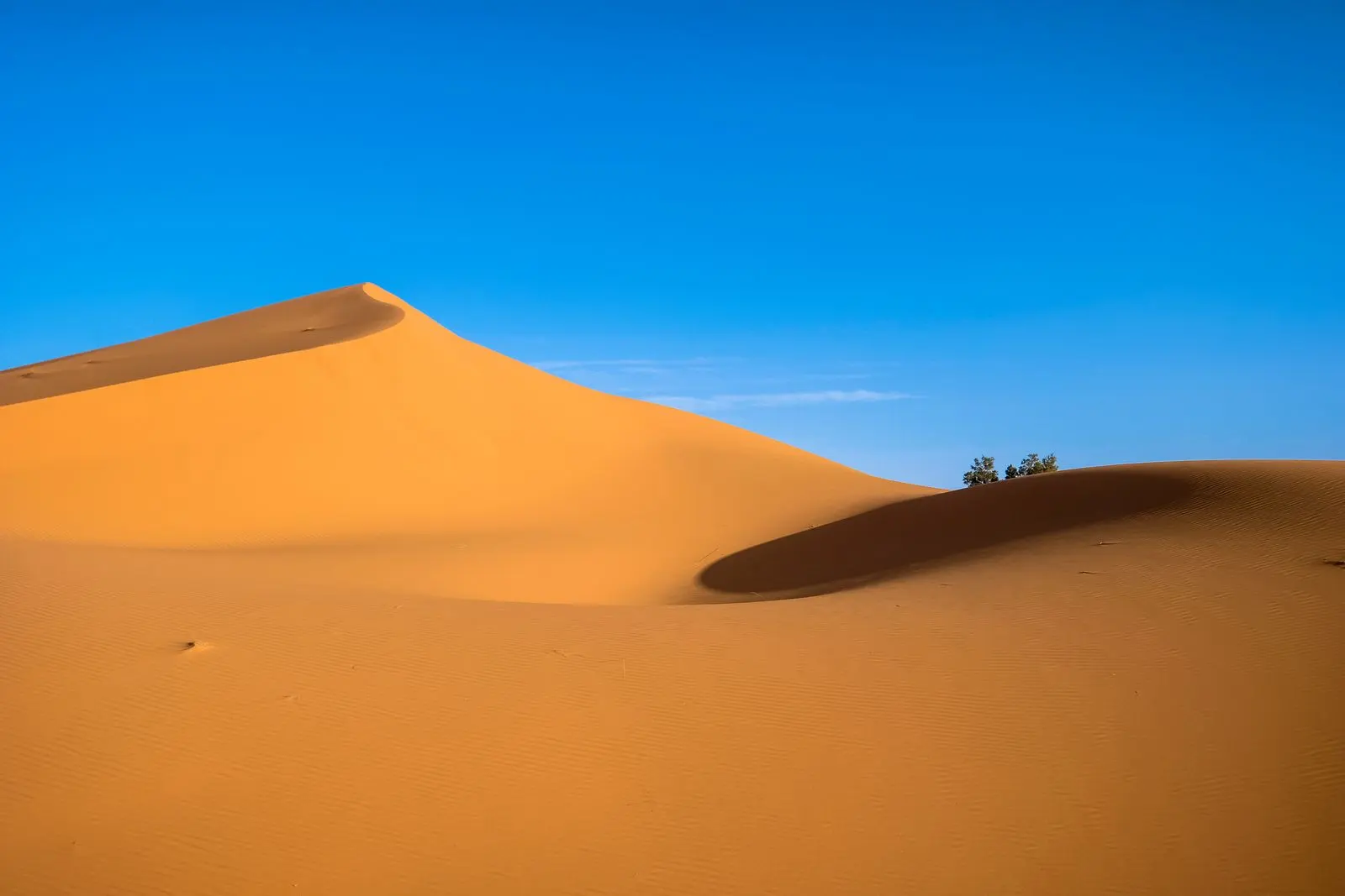 Persistent heat forecast in several regions of Morocco