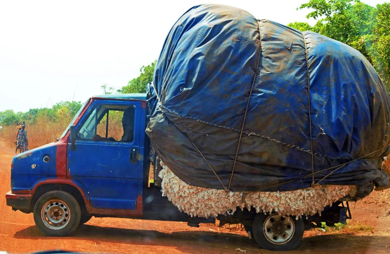 Joseph H Ahissou photo cotton transportation from farm to factory — photo d’illustration (agriculture)