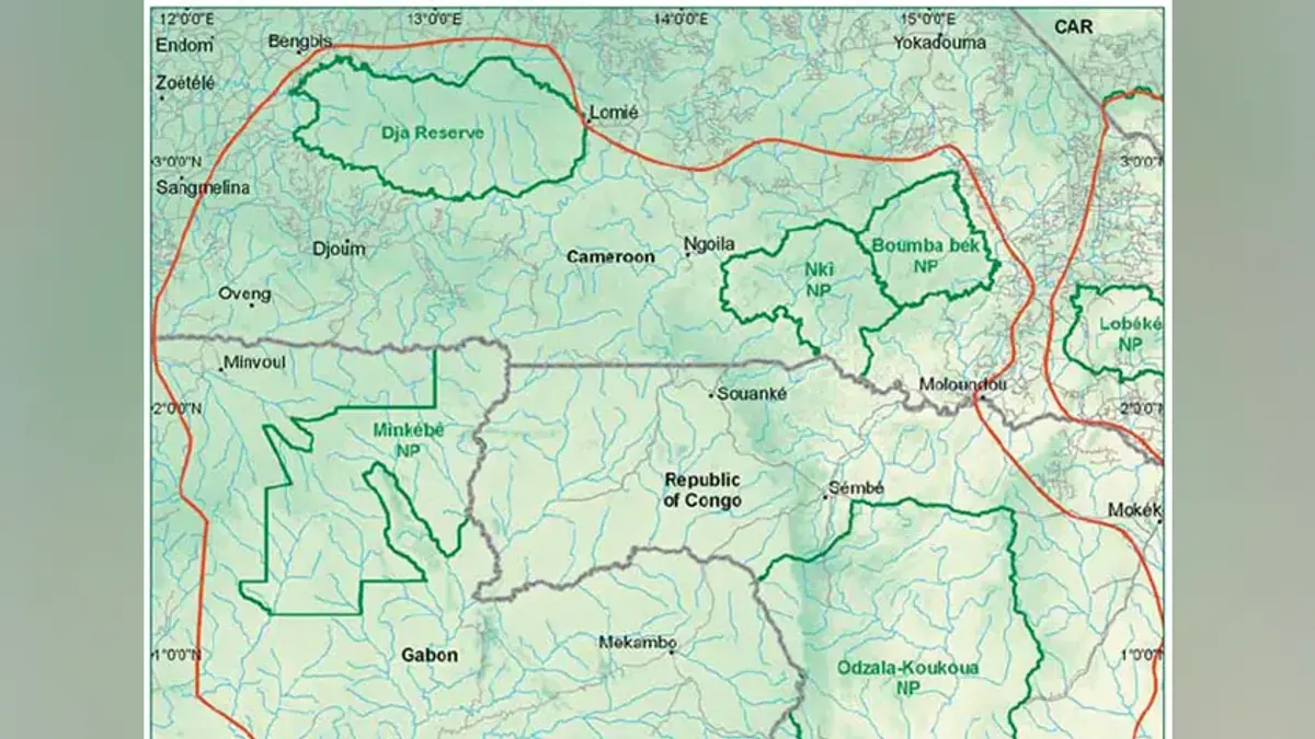 Parc national de Minkébé — illustration