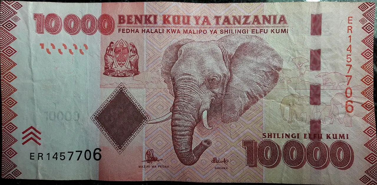 Shilling tanzanien — illustration