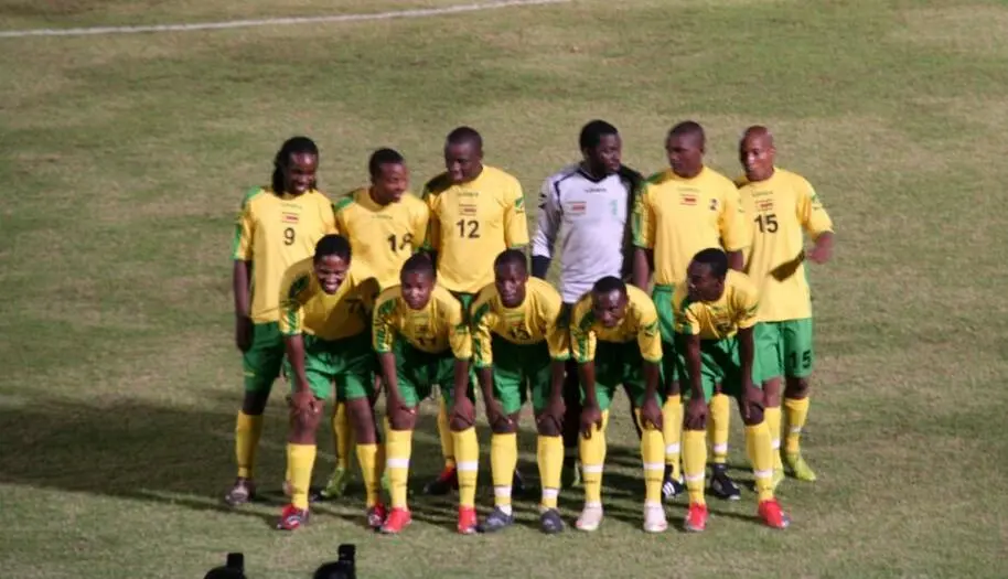 Équipe du Zimbabwe de football — illustration