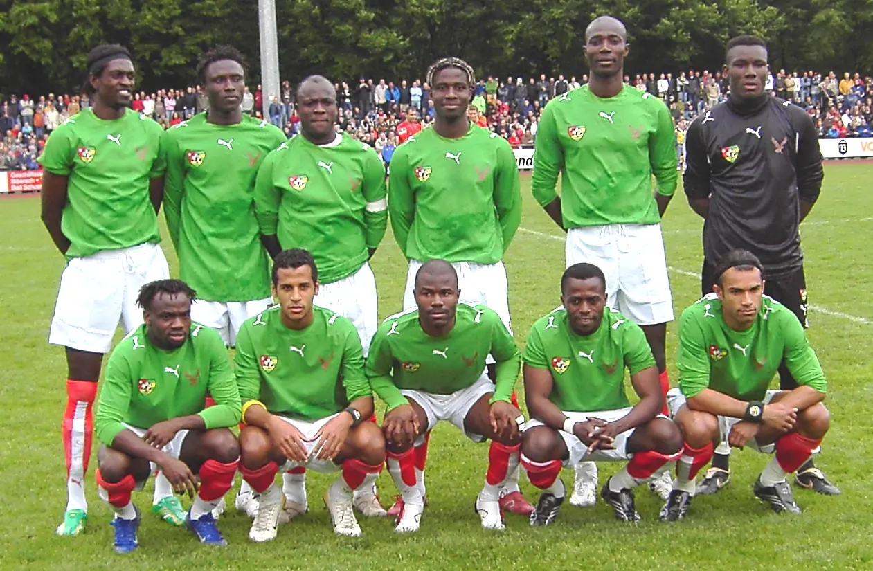 Équipe du Togo de football — illustration