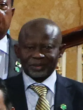 Ousainou Darboe — illustration
