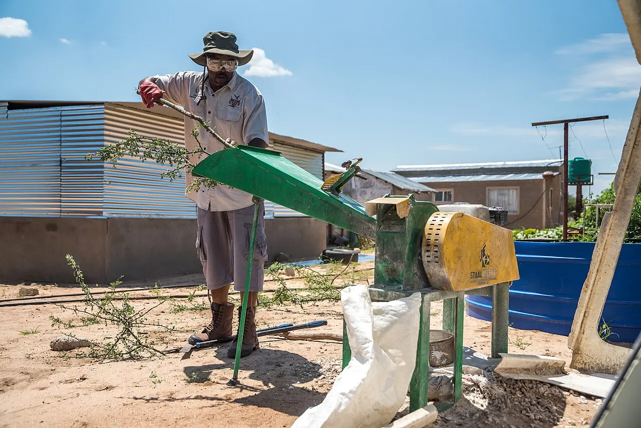 Farmer mills branches of shrubs for the production of animal fodder in Namibia — photo d’illustration (agriculture)
