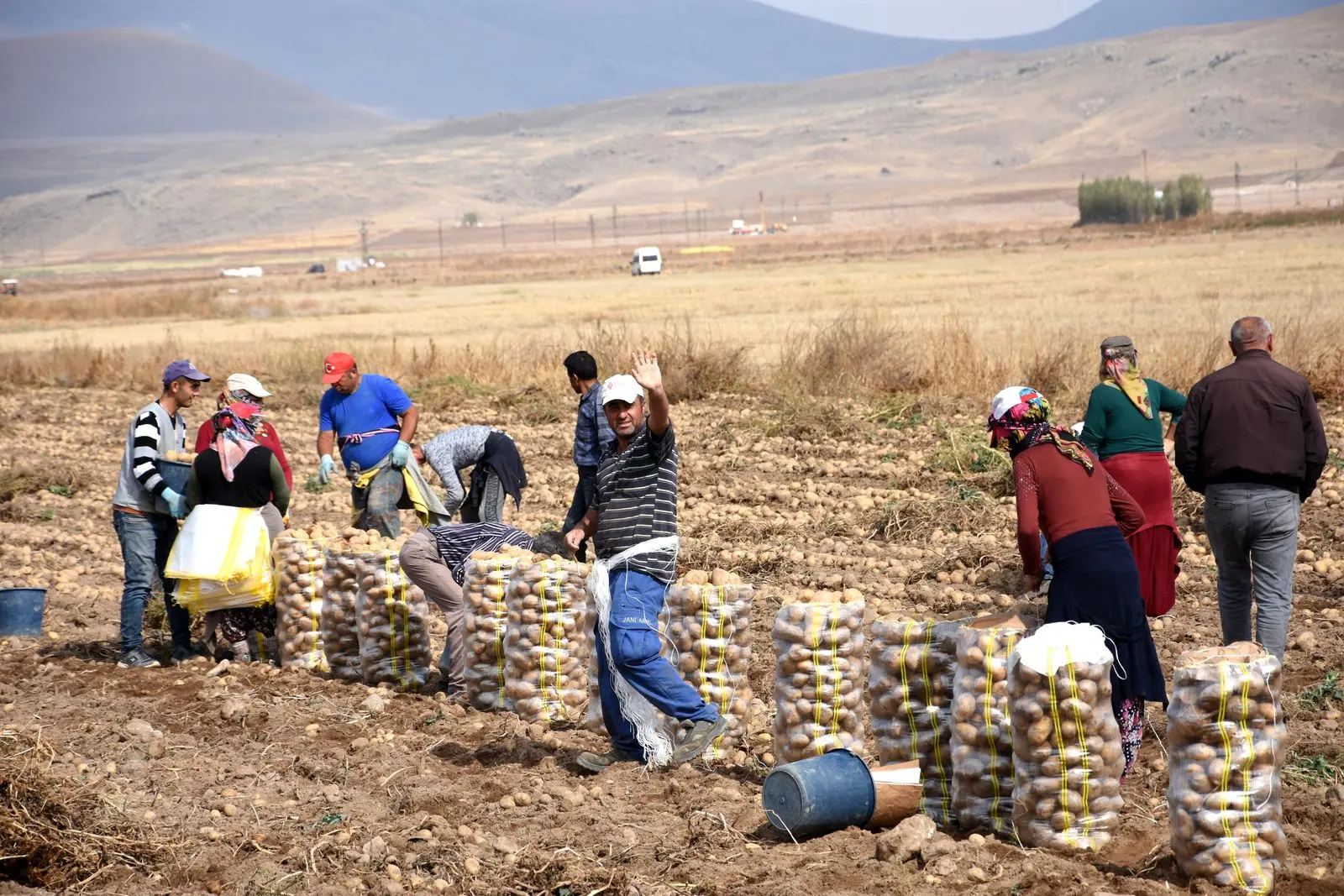 Tunisia seeks more AAAID agricultural investment