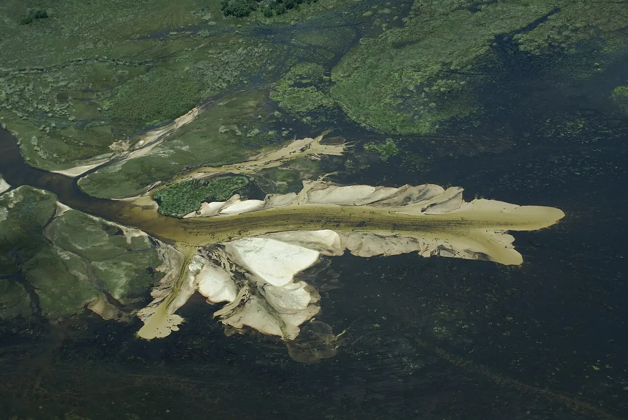 Okavango — illustration
