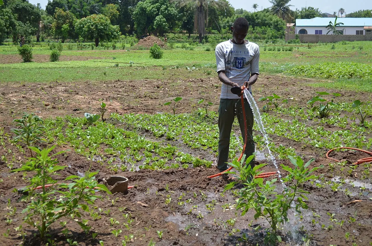 Irrigation in Northern Ghana — photo d’illustration (agriculture)