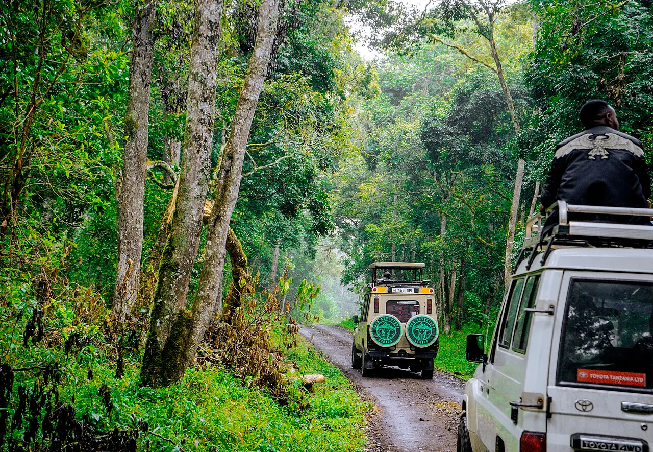 TOURIST CAR AT ARUSHA NATIONAL PARK — photo d’illustration (tourisme)