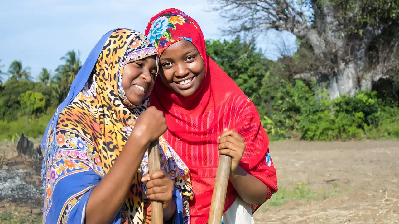 Young farmers, Tanzania (39727888951) — photo d’illustration (agriculture)