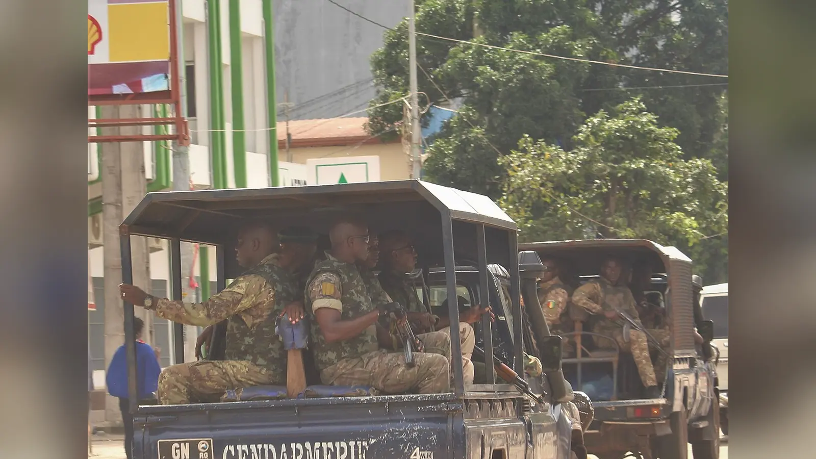 Anti-drug operation uncovers cannabis plantation in Conakry