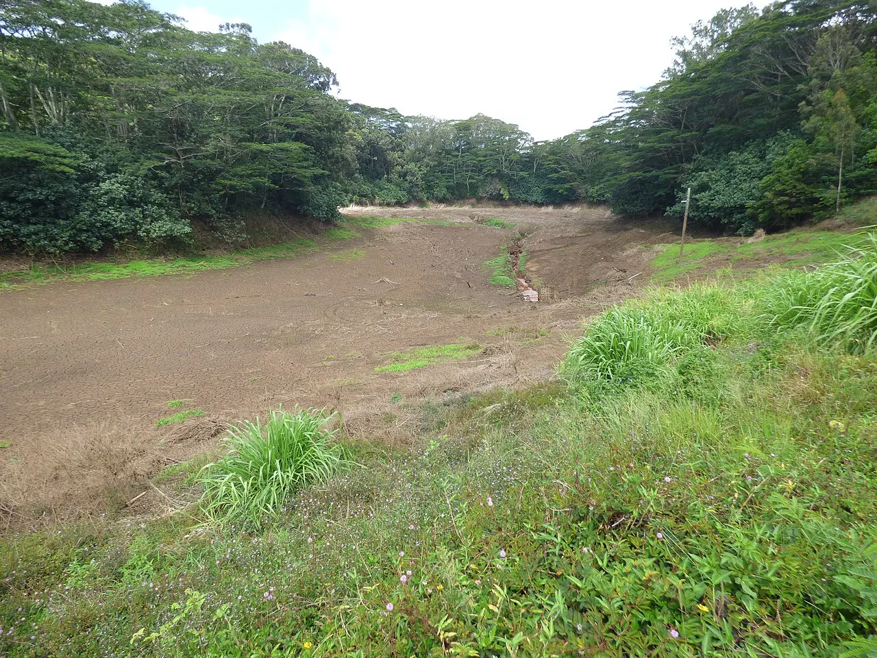 Starr-210514-0871-Megathyrsus maximus-view reservoir after flooding-Kaupakalua Reservoir Haiku-Maui (51578548646) — photo d’illustration (inondations)