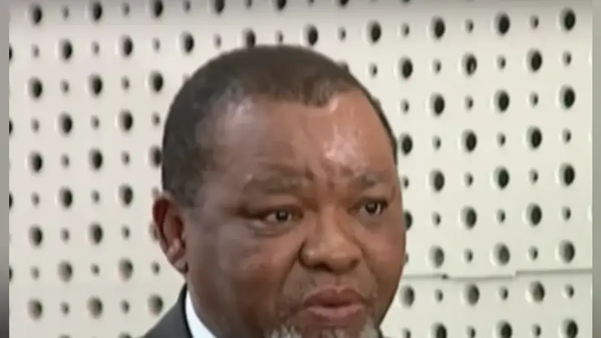 Gwede Mantashe — illustration