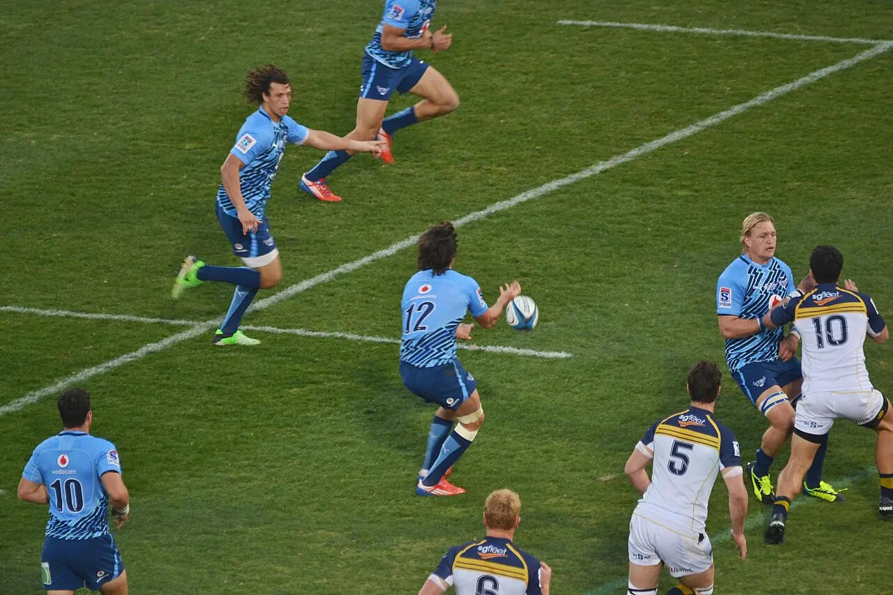 Bulls (rugby à XV) — illustration