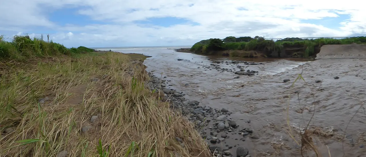 Starr-160919-0628-Megathyrsus maximus-stream mouth after flooding-Iao Stream Rd Kahului-Maui (30419849214) — photo d’illustration (inondations)
