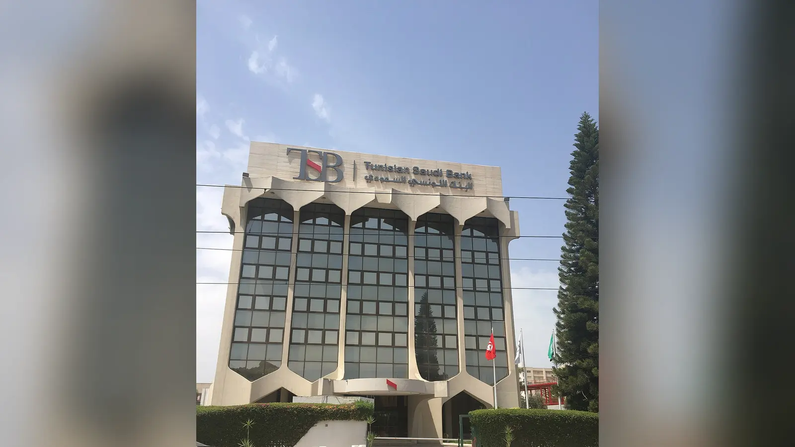 Tunisian Saudi Bank — illustration