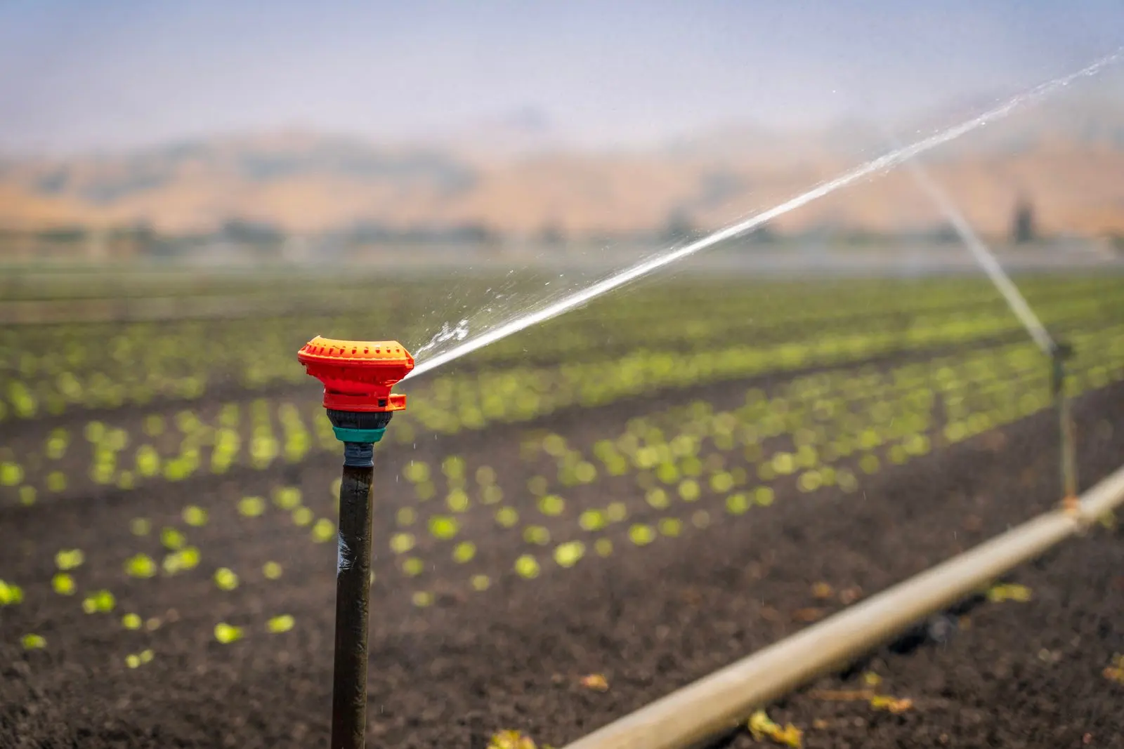 Morocco bets on agricultural innovation for food sovereignty