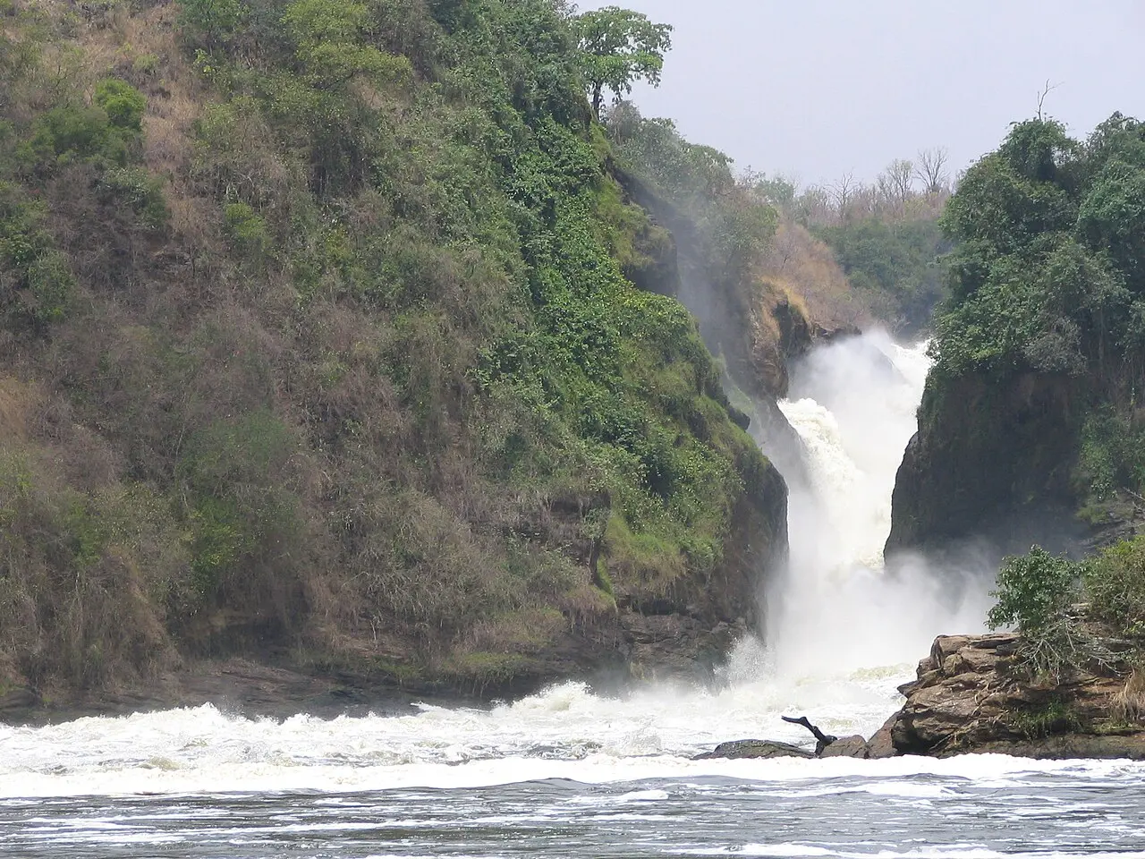Parc national Murchison Falls — illustration