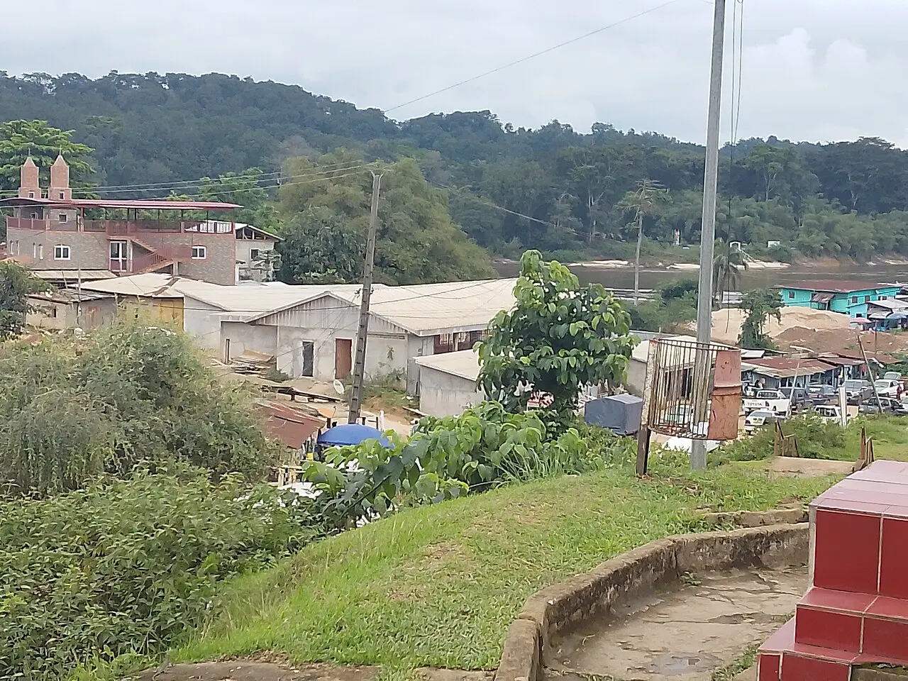 Ndjolé (Gabon) — illustration