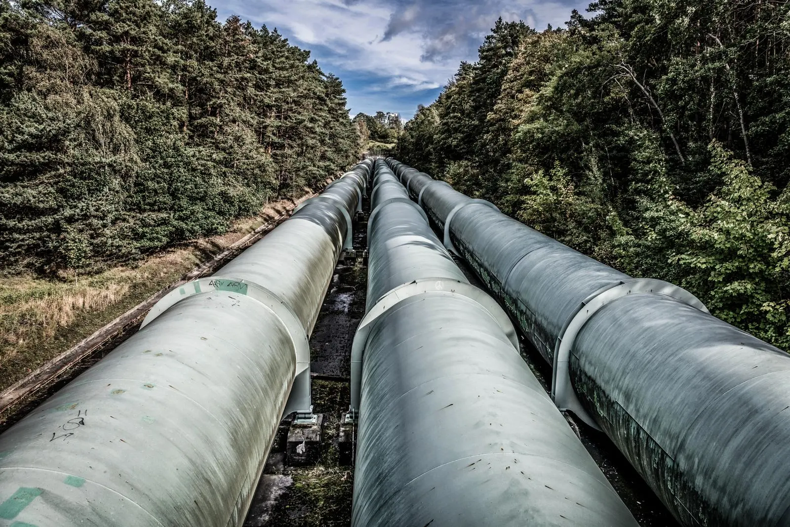 Conduites industrielles traversant un paysage forestier — photo d’illustration (banque d’images)