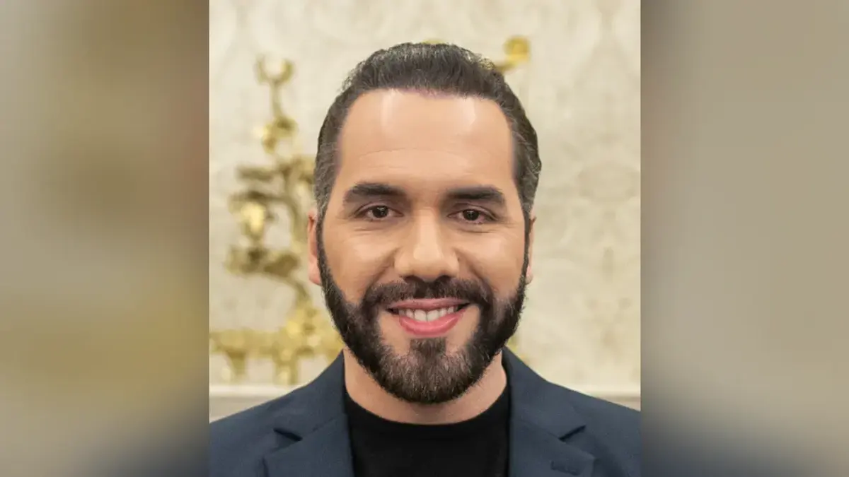 Nayib Bukele — illustration