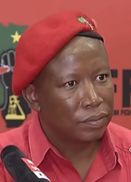 Julius Malema — illustration